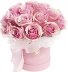 Pink roses at the Hat box