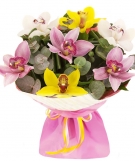 Orchids Bouquet - 5 sizes