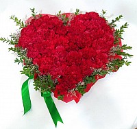 Carnations Heart image 0