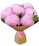 Pink Summer-Autumn Chrysanthemums