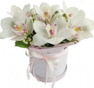 White Orchids Box
