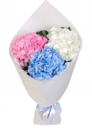 3 multicolored Hydrangea bouquet