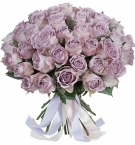 Lilac Classic Roses from 7 to 101