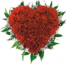 Carnations Heart