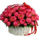Baket of Red  Peonies From 7 to 51