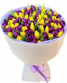 Желто-фиолетовый микс, от 11 до 101 тюльпана