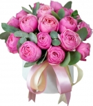 Сильвия несравненная - варианты от 5 до 25