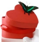 Метелик в коробці у формі серця