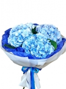 Splendid Blooms