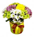 The 15 Bright Chrysanthemums mix