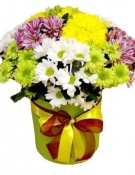 The 15 Bright Chrysanthemums mix