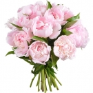 May Pink Bouquet