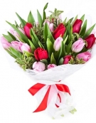Red and Pink Tulips from 11 to 101