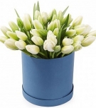 White Tulips at a Hat Box
