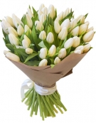 Білі тюльпани -  Букети вiд 11 до 101