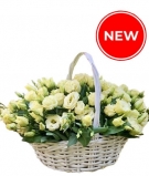Eustoma Basket - from 5 to 51