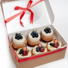 6 Mini Cakes set