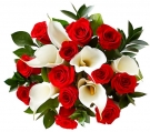 Calla Lilies and Roses