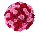 Мікс червоних та рожевих класичних троянд