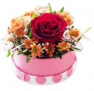 A Cute 1 Rose arrangement
