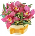 Orchids Box Arrangement