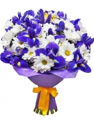 Irises-Camomiles