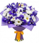 Irises-Camomiles