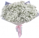 Gypsophila - White Bouquet
