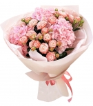 Unsurpassed Hydrangea ++ ...