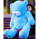 Teddy 160-170 cm, 6 colors