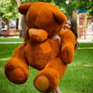 Teddy 250 cm, 6 colors