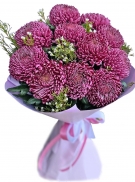 Темно-рожеві лiтньо-осінні хризантеми