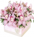 Delicate and Luxury, from 5 to 15 orchids