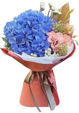 Hydrangea & Eustoma