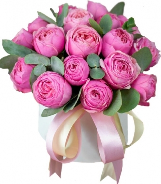 Сильвiя Незрівнянна - варіанти від 5 до 25