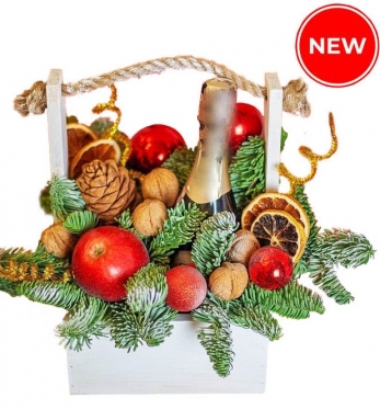 Празднуем Рождество и Новый год!