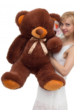 Chocolate Bear, 80-85 cm