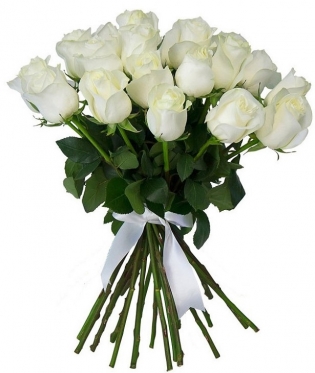 Classic White Roses