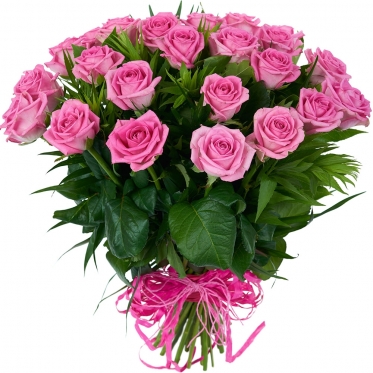 Classic Pink Roses