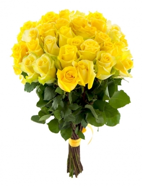 Elite Long Stem Yellow Roses, From 5 to 101