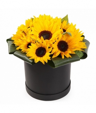 Sunflowers at the Hat Box