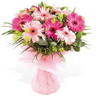 Gerberas Bouquet