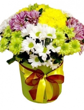 The 15 Bright Chrysanthemums mix