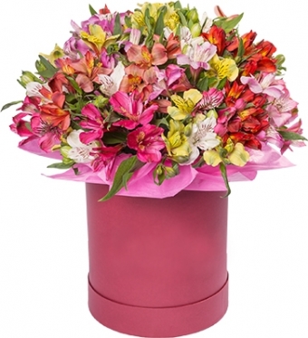 25 Alstroemeria Mix