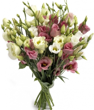 Eustoma pink bouquet