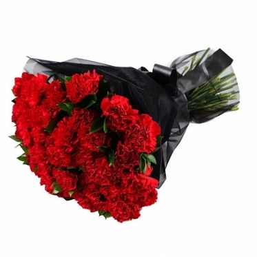 Red Carnations