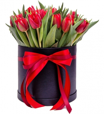 11-101 Red Tulips at the Hat Box