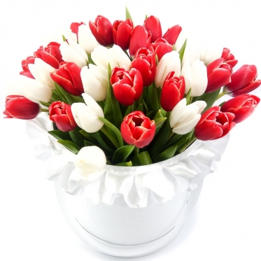 Червоні і білі Тюльпани в шляпній коробці