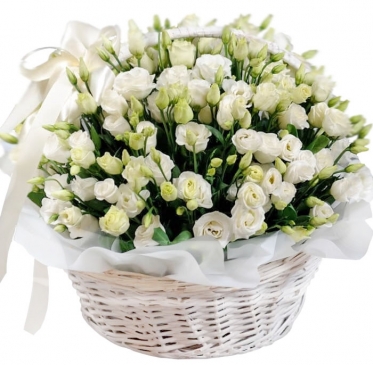 Eustoma Basket - from 5 to 51