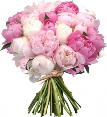 Pink Peonies Bouquet